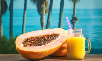 Bodrum Beach Hotel and Longevity Wellness Centre Investment