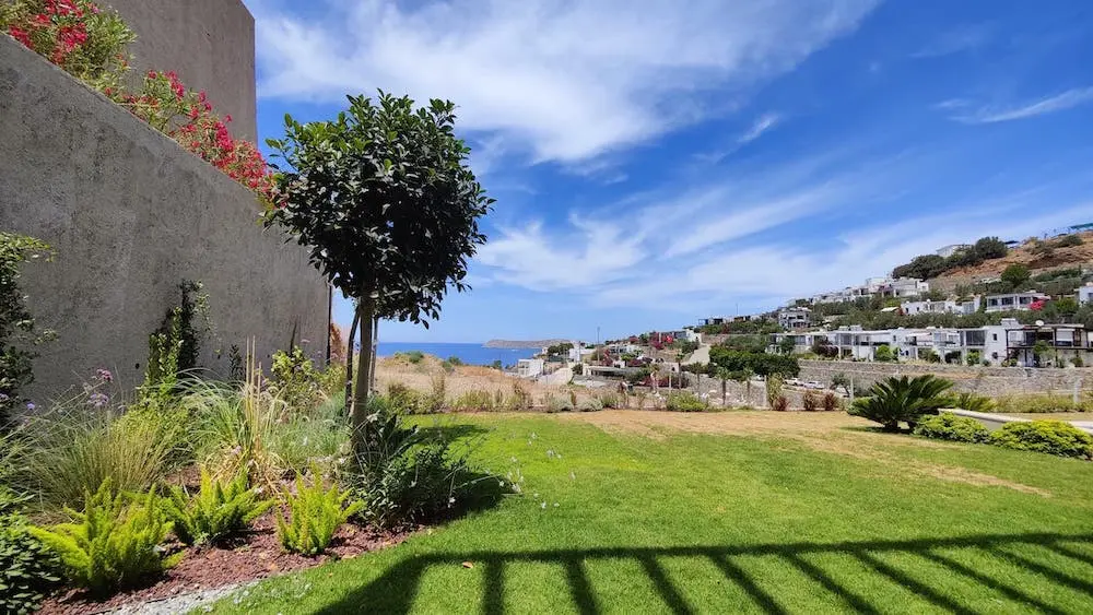 Garden view