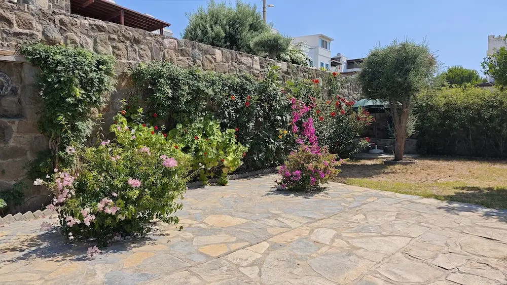 Mature garden