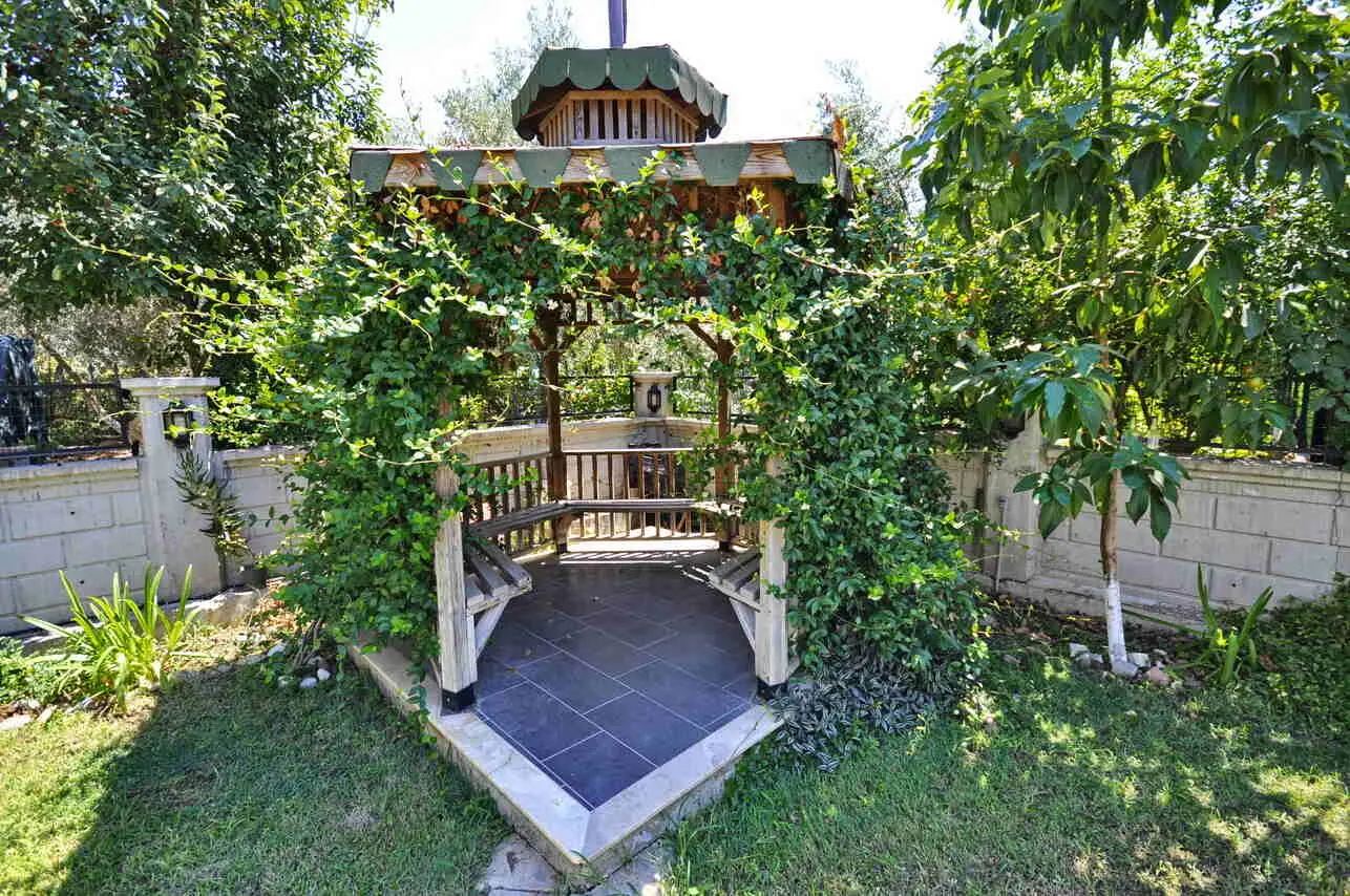 Mature garden